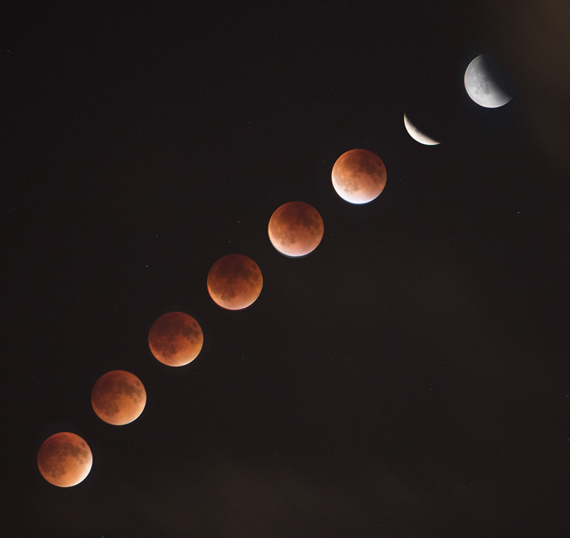 Illustration for article titled 34 Amazing Photos Of The Super Blood Moon